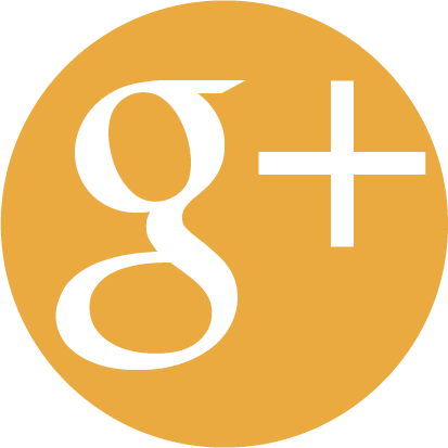 google+